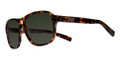 NIKE Sunglasses VINTAGE 77 EV0602 233 Tort Grn 58MM