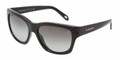 Tiffany & Co TF4019 Sunglasses 80013C Blk