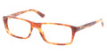 POLO Eyeglasses PH 2104 5023 Havana 54MM