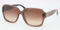 Coach Sunglasses HC 8044 510613 Br Khaki 55MM