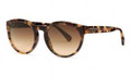 Coach Sunglasses HC 8056 509313 Vintage Tort 53MM