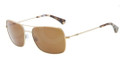 EMPORIO ARMANI Sunglasses EA 2011 301373 Pale Gold 56MM