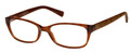 ARMANI EXCHANGE Eyeglasses AX 3009 8063 Br Transp 53MM