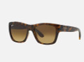 Ray Ban Sunglasses RB 4194 710/83 Havana 53MM