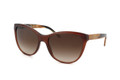 Dolce Gabbana DG4109 Sunglasses 181613