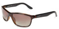 CARRERA Sunglasses 8000/S 02XF Havana 61 MM