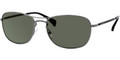 Giorgio Armani 860/S Sunglasses 0KJ1HY Dark Ruthenium (5718)
