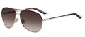 Christian Dior SIMPLICIE 2/S Sunglasses 0AERCC Br Wht Gold (5613)