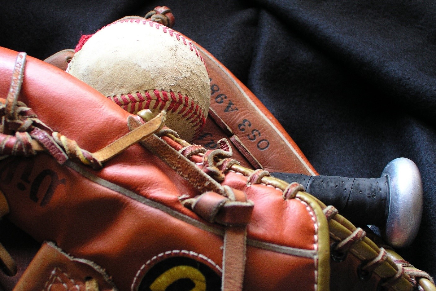 Top Baseball Players of 2019 Top Baseball Players of 2019