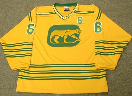 chicago cougars hockey jersey