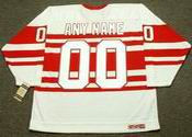 DETROIT RED WINGS 1940's CCM Vintage Jersey Customized "Any Name & Number(s)"