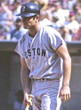 CARL YASTRZEMSKI Boston Red Sox 1967 Away Majestic Throwback Baseball Jersey - ACTION