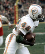 PAUL WARFIELD Miami Dolphins 1972 Throwback NFL Football Jersey - ACTION