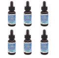 Liquid Zeolite Enhanced with DHQ  .. 6 for $72, Only $12 ea. with FREE Shipping Worldwide 