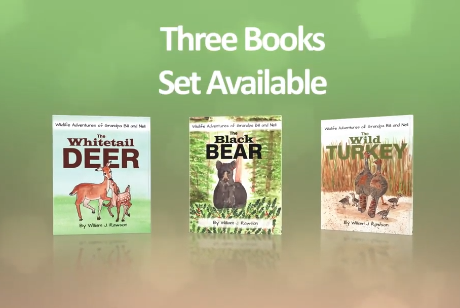 3 book series 3 book series