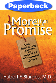 More Than a Promise / Sturges, Hubert F. / Paperback / LSI