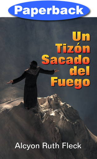 Cover of Brand from the Burning, A (Spanish)