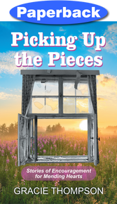 Cover of Picking Up the Pieces