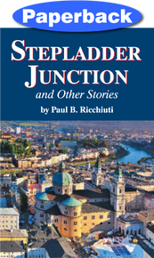 Cover of Stepladder Junction