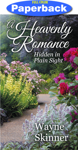 Cover of A Heavenly Romance