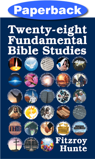Front cover of Twenty-eight Fundamental Bible Studies