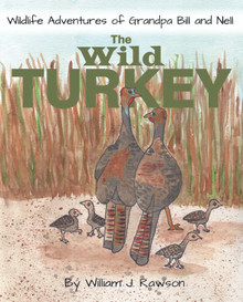 Wild Turkey, The / Rawson, William J. / Paperback / LSI
