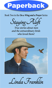 Cover of Staying Aloft