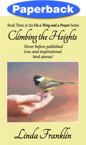 Cover of Climbing the Heights