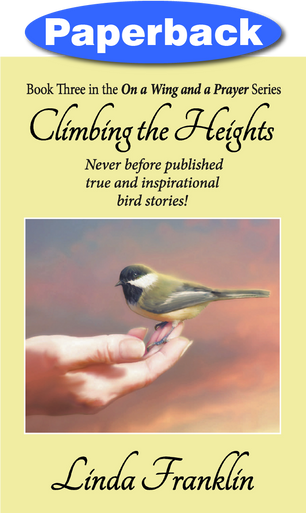 Cover of Climbing the Heights