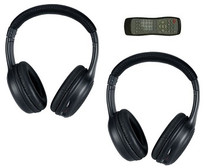 Invision DVD remote and headphone combo.