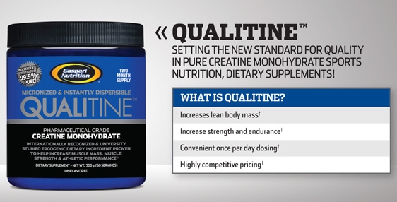 Gaspari-Nutrition-Qualitine-Muscleintensity