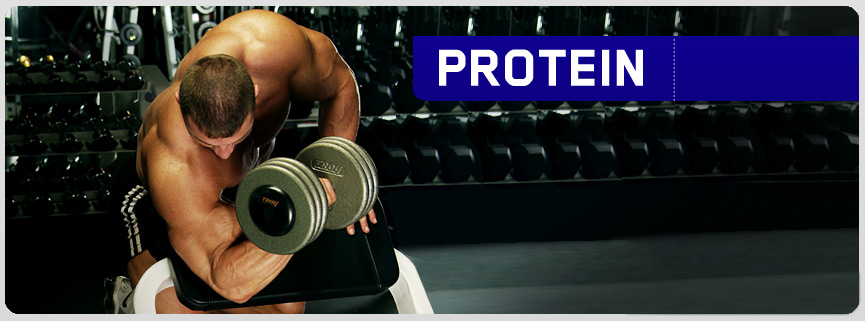 on-protein-banner.jpg