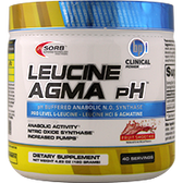 BPI-Leucine-Agma-pH-Fruit-Smoothie-120-g | Muscleintensity.com