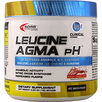 BPI-Leucine-Agma-pH-Fruit-Smoothie-120-g | Muscleintensity.com