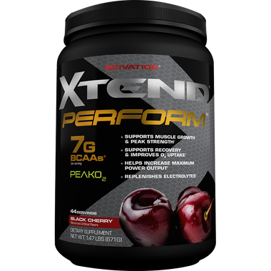 Scivation Xtend Perform Black Cherry 44 svg | Muscleintensity.com