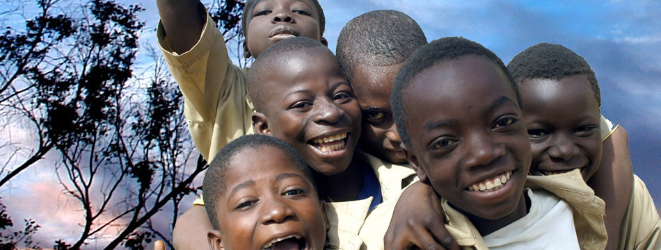 world health mosquito nets banner-mos23.jpg