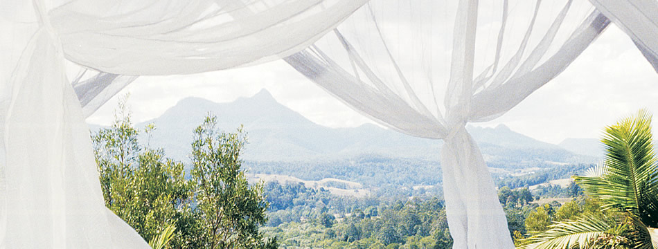 cotton mosquito net banner-mos35.jpg