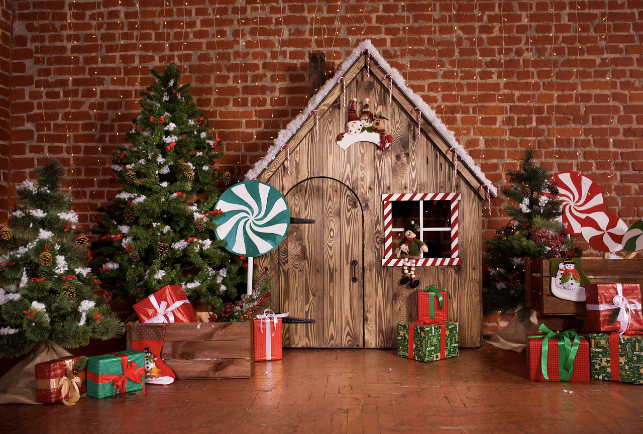 Christmas toy shop photographer backdrop - Props For Togs