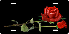 Red Roses on Black Offset Auto Plate sku T9254A