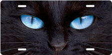 Black Cat with Blue Eyes Auto Plate sku T9171ZB