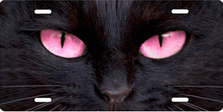 Black Cat with Pink Eyes Auto Plate sku T9171ZR