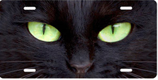 Black Cat with Green Eyes Brushed Metal Auto Plate sku TB9171ZG