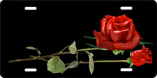 Red Roses on Black Offset Brushed Metal Auto Plate sku TB9254A