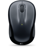 Logitech Wireless Mouse m325
