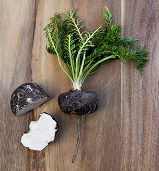 r-100-black-maca-root-board.png r-100-black-maca-root-board.png