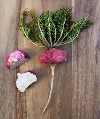 r-300-red-maca-root-board.png r-300-red-maca-root-board.png