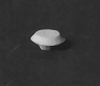Detail Associates 1901 Air Vents Round - Mounted on Cab Roof or Low Nose pkg(12) Ho Scale