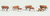 Woodland Scenics 1843 Farm Livestock - Hereford Cows - Scenic Accents pkg(7) HO Scale 