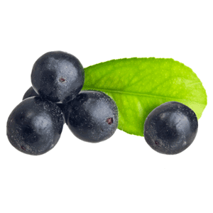 organic acai berry