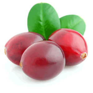 organic cranberries for makeup